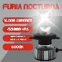FURIA NOCTURNA H4-2.webp