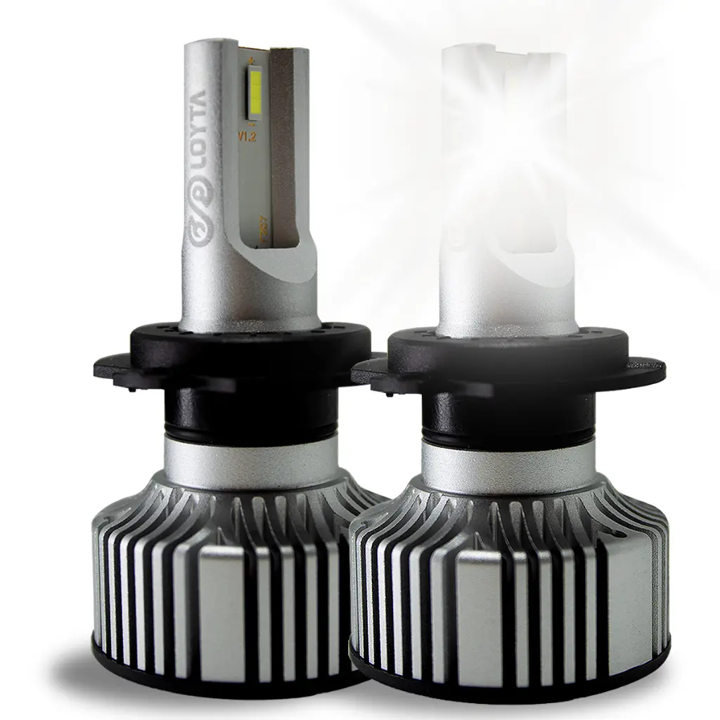 FURIA NOCTURNA h7 copia.webp