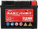 FTX4L-2.webp