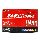 Batería Moto Fiamm Agm Ftz10 Kawasaki Yamaha Ktm Dominar 400